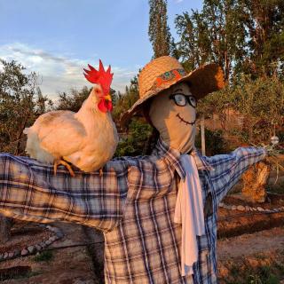 Finca Sustentable - 7