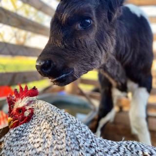 Finca Sustentable - 6