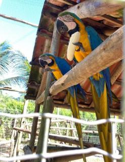 Casa das Cores - Angra dos Reis - Angra dos Reis - 5
