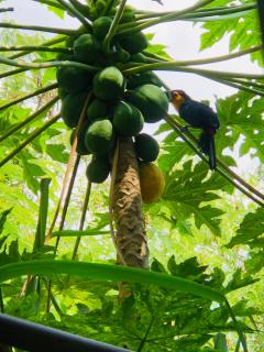 Apartment 1 at Casa Danni - 7