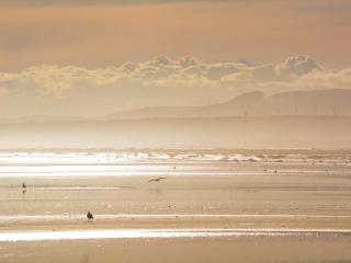 Vue sur les voiliers - 8