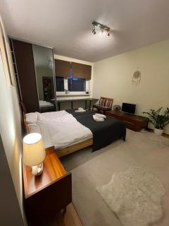 Apartament Paderewski - Poznań - 0