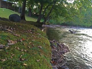 Rippling Waters Retreat, Riverfront Rustic Cabin - Seri Kembangan - 4