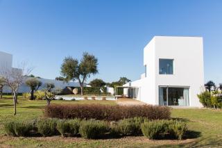 Vineyard Retreat - Montemor-o-Novo - 1