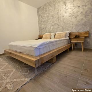 Apartament Matei Busteni - Buşteni - 6