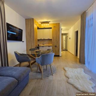 Apartament Matei Busteni - Buşteni - 7