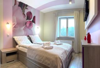 Polanica Luxury Apartment - Bliżej Zdroju - 9