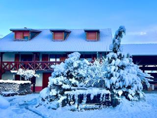 La Grange - Ground Floor Apartment, Terrace, Free Private Parking, Near Colmar - 8