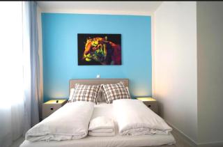 Hotel Astra - Rheinfelden - 8