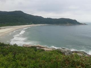Apê Floripa - Florianópolis - 1