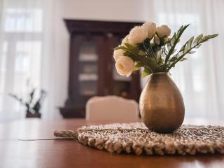 Unique & Spacious 3BR Historic Flat in City Centre - Sarajevo - 2