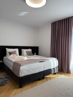 Marmotta Paltinis - 9