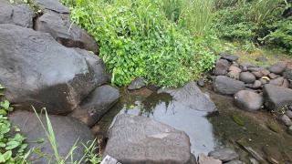 Studio avec piscine à Trois-Rivières - 4