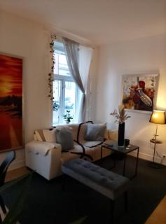 FULL APARTMENT CENTRAL OSLO SOHO area - 9