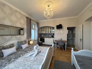 Apartmány Villa Magnolie - Lipova Lazne - 3