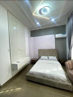 Deluxe Haven Apartment - Lekki - 4