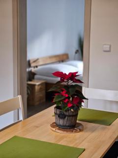 Apartmány Karolína - Kašperské Hory - Kašperské Hory - 6