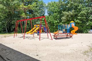 Charming Swiss Chalet Fire Pit Beach Access - Center Harbor - 1