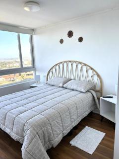 Monkey Guest Apartment - Concón - 4