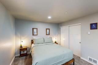 The Turtle Suite - 3
