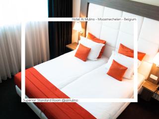 Hotel AL Mulino - 3