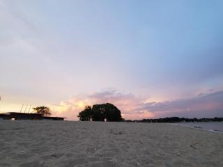 Sunshine Room by harbor downtown beach I-95&Train - Stamford - 7