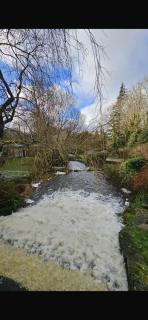 Dillons Lakeside Lodge - Caeathro - 2