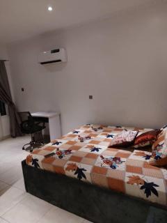 2 bed room apartment - Lekki - 9