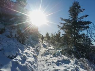 Ferienwohnung Waldrausch - 4