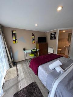 Palm Studio - Private Cozy Oasis - Auckland - 9