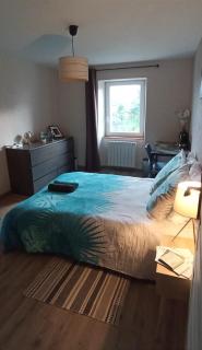 Chambre cozy et calme dans une maison de charme - - 9