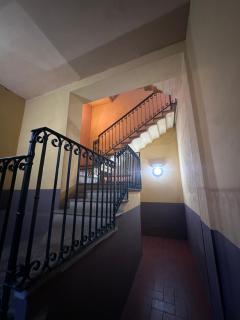 Dante 13 Flat - Cremona - 1