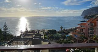 Shearwaters - Sounds of the sea - Funchal - 8