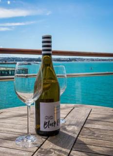 Large 1br with gorgeous sea views - Auckland - 1