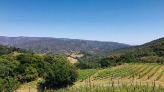 Napa Vineyard with Stunning Views By Allevo Homes - Yountville - 0
