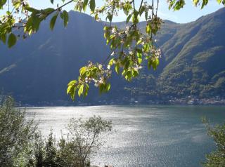 Casa privata con splendida vista lago "Il Gallicantus" - Nesso - 9