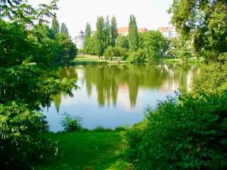Cosy one bedroom Suite - Berlino - 7