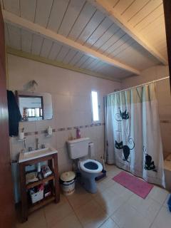Casa amplia con jardin grande, parrilla y pileta en mar del plata en barrio jardin pegado al bosque peralta ramos - 3