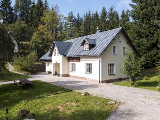 Villa in Mlade Bulky with garden - Mladé Buky - 4