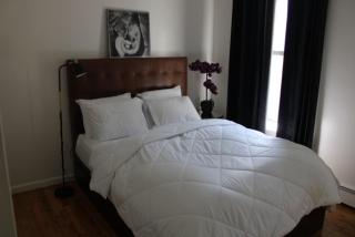 Cozy apartment - New York - 7