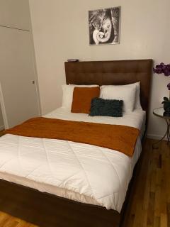 Cozy apartment - New York - 6