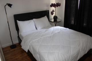 Cozy apartment - New York - 5