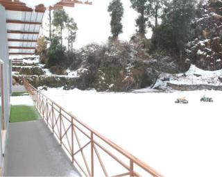 Dhanaulti Snow valley Homestay - Dhanaulti - 4