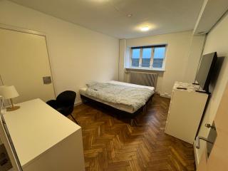 Charming rooms close to city and E45 - 1
