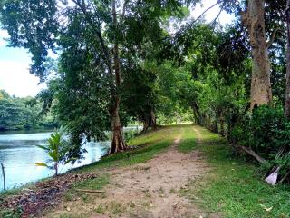 Lake Villa Goyambokka - Tangalle - 6