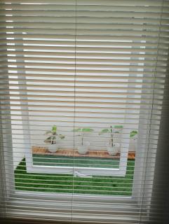 Albirru homestay syariah - 7