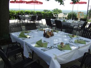 Gasthof-Pension Wein - Breitenbrunn - 2