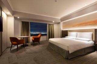 Hilton Tokyo Narita Airport - Narita - 9