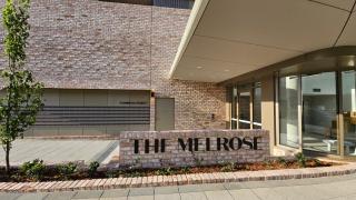 Woden New Modern One-Bedroom Apartment - Phillip - 0