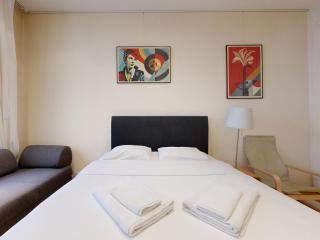 Magnificent two bedroom apartment in a luxury building - Ginevra - 1